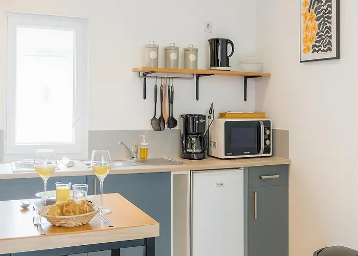 Apartment Charmant T1 Lumineux Chez Maurice